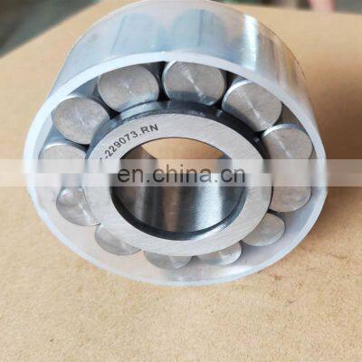 Cylindrical Roller bearing F-229073.RN f-229073