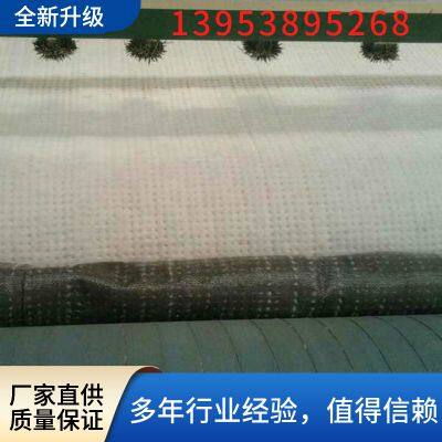 Geosynthetic Material Clay Liner 6000g Natural Nano Coated Bentonite Waterproof Blanket photo-5