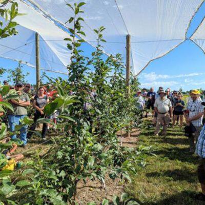 Top Quality Drape Bird Net Orchard Cover photo-6