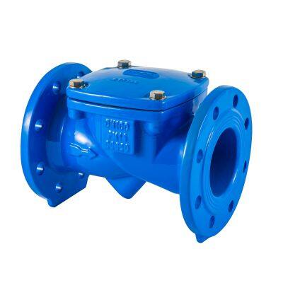 High Quality Cast Iron Rubber Flap Check Valve for Water Pump
