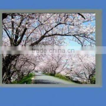 LQ057AC111 Lcd Screen in Stock New and Original photo-2