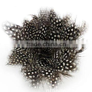 Cock Feather Decoration photo-2