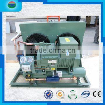 Low price hot selling mini air cooled condensing unit/condenser