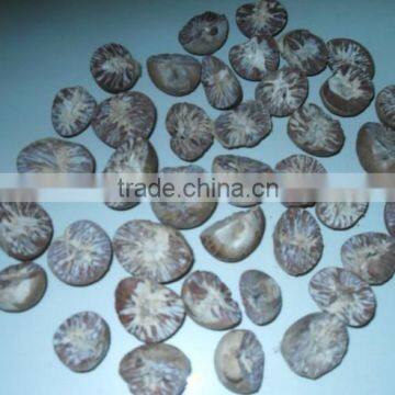 Betel Nuts