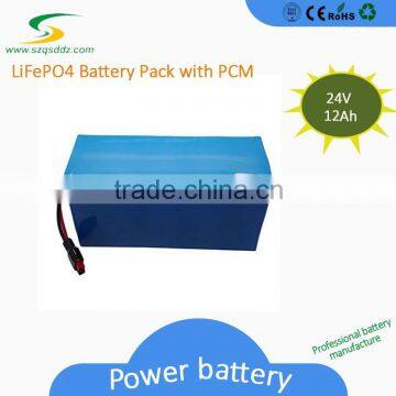 Customer Design Rechargeable Electric Bike LiFePo4 24V Equipment Battery Pack photo-4
