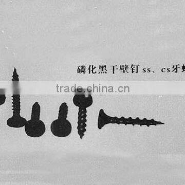 drywall stainless steel screw with high quality