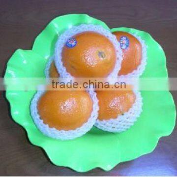 foam net for citrus