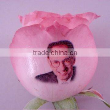 Buy Flower Printer Unique Flower Printer photo-5