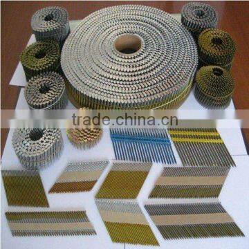 High Quality Ring Shank Coil Nails (ISO 9001 Manufacturer)