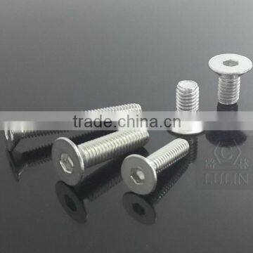 Stainless Steel Hex Socket CSK Head Screw