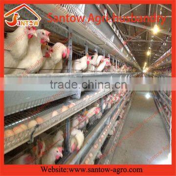 Stable steel structure professional chicken egg layer cage chicken breeding machine