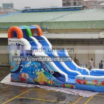 Promotional Giant Inflatable Water Slide,10m Length Water Slide With Pool