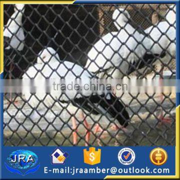 Zoo Bird Cages Stainless Steel Aviary Mesh/netting photo-2