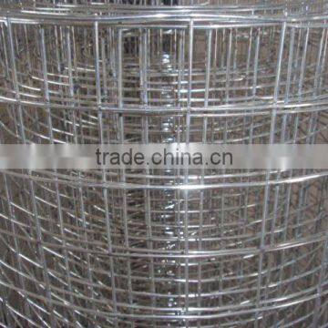 stainless steel welded wire mesh in roll