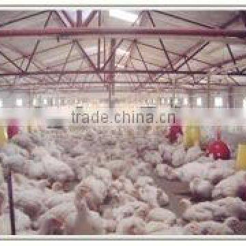 competitive price of Prefab poultry house of Canglong                        
                                                Quality Choice