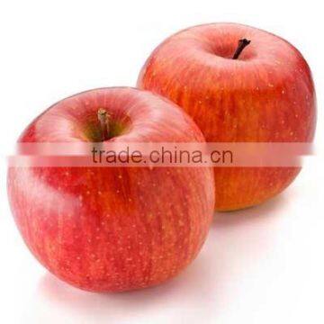 2015 Chinese Fresh sweet fuji apple with good quality