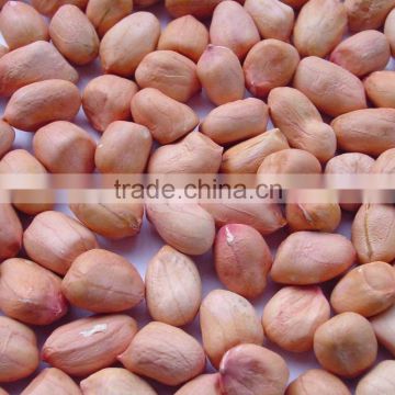 Grade 1 Cheap Peanuts,Cheap Peanuts,Premium quality peanuts