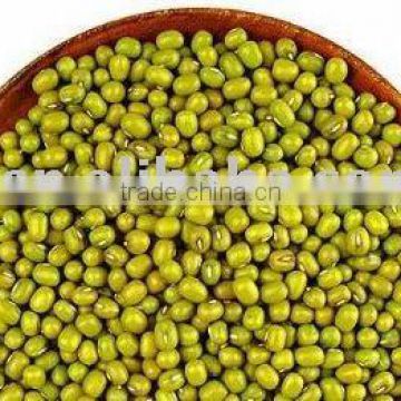 fresh green mung bean