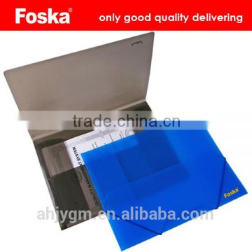 A4 Transparent Color File Folder Pocket/Transparent Document Bag with Elastic