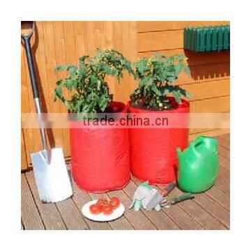 Outdoor Patio Garden Tomato Planter Growing Bag,Tomato Planter ,Growing Tomato Planting photo-3