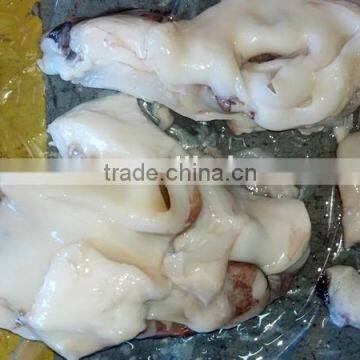 frozen fresh giant squid neck meat for sale