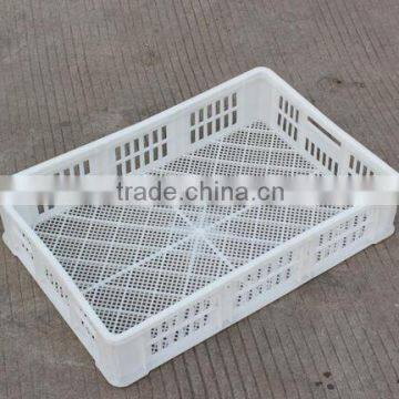 plastic folden transport cages chick cages