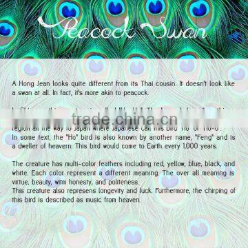 Peacock Swan THAILAND ART T-SHIRT PAINTED FABRIC Acrylic Glitter PAINTING BY HAND RARE PRODUCTS photo-3