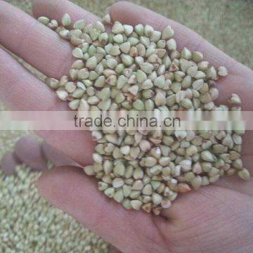 High Quality Raw Buckwheat Kernel photo-2