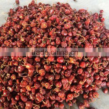 Round Red Chilles photo-3