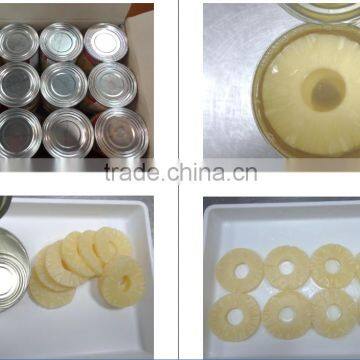 Standard Grade Canned Pineapple Slices in Ligh Syrup From Thailand photo-2