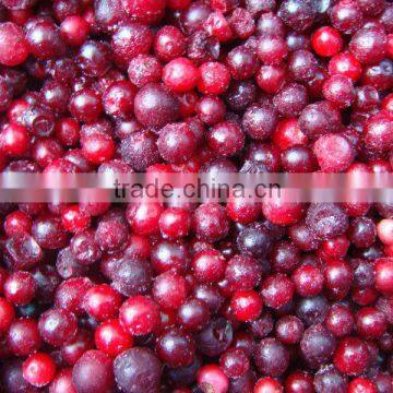 frozen lingonberry