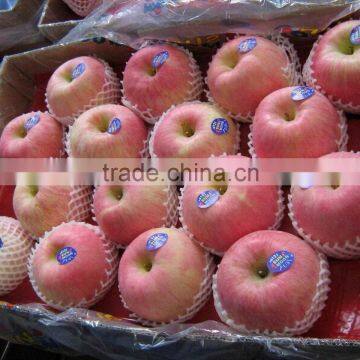 Chinese Fresh Red Fuji Apple