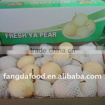 Fresh ya Pear /china Pears