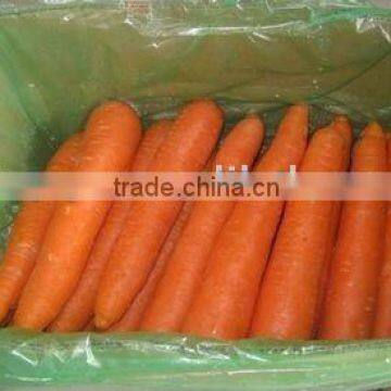 Carrot in China