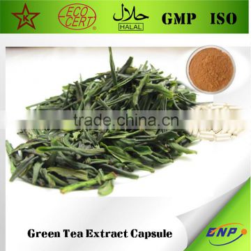 Buy Natural Tea Polyphenol Capsule