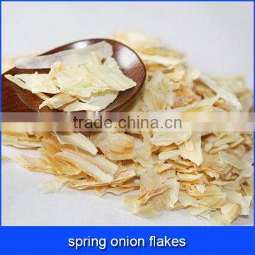 spring onion