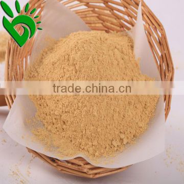 Ginger Powder Price