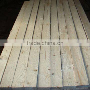 Picea abies spruce