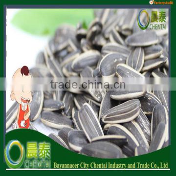 New Crop China Arts Sunflower Seeds