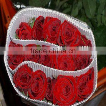 Supply Grade A Fresh Cut Flowers Black Rose photo-3
