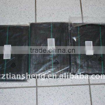 PP Woven Fabric