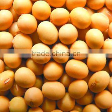 Soyabean Meal Export From China
