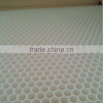 PP honeycomb board