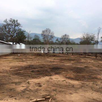 White Charcoal photo-3