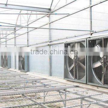 54'' Poultry Farm Ventilation Cooling System Belt Drive Exhaust Fans photo-5