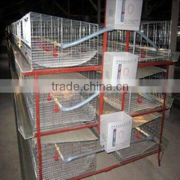 ISO 9001 certified Hot sale Q235 Wire Mesh Cage Chicken Layer