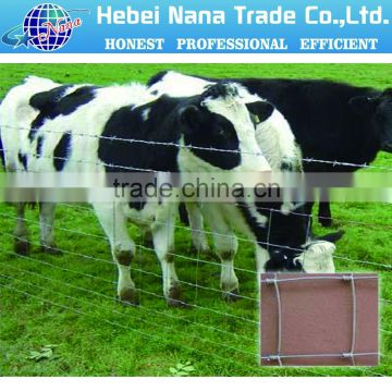 Alibaba hot sale cattle fence panels