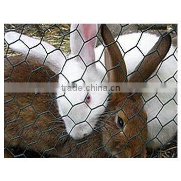 Hot sale hexagonal wire mesh cages for chicken and rabbit