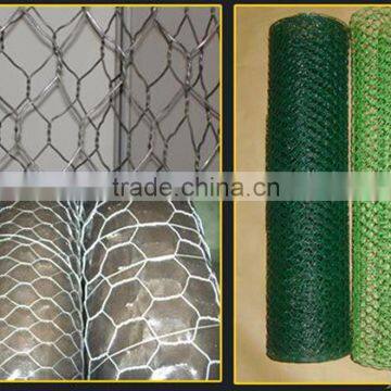 Competitive Price for Hexagonal Wire Mesh photo-2