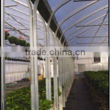 Multi Span Tunnel Plastic Tropical Greenhouse